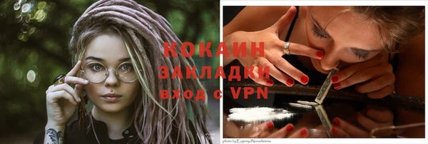 прущие грибы Инсар