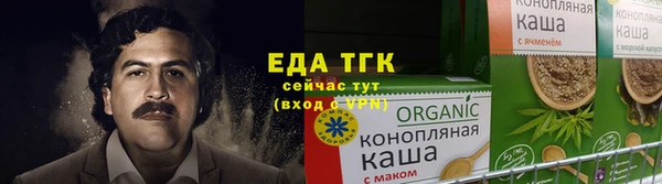 индика Коряжма