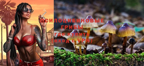ALPHA-PVP Краснослободск