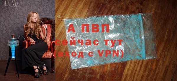 индика Коряжма