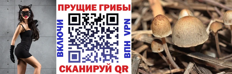 Галлюциногенные грибы GOLDEN TEACHER  Купить закладки  Касли 