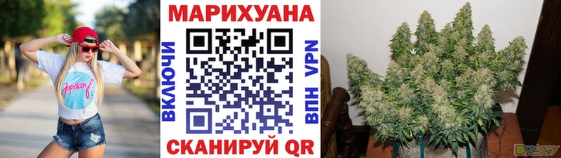 Конопля Amnesia Касли